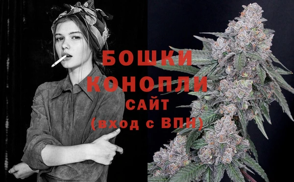 Альфа ПВП Ленинск