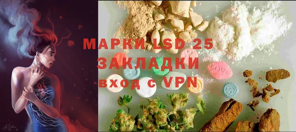 ПСИЛОЦИБИНОВЫЕ ГРИБЫ Медвежьегорск