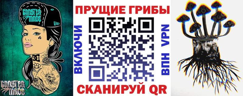 Галлюциногенные грибы Psilocybe  цены наркотик  нарко площадка официальный сайт  Нефтегорск  ОМГ ОМГ  